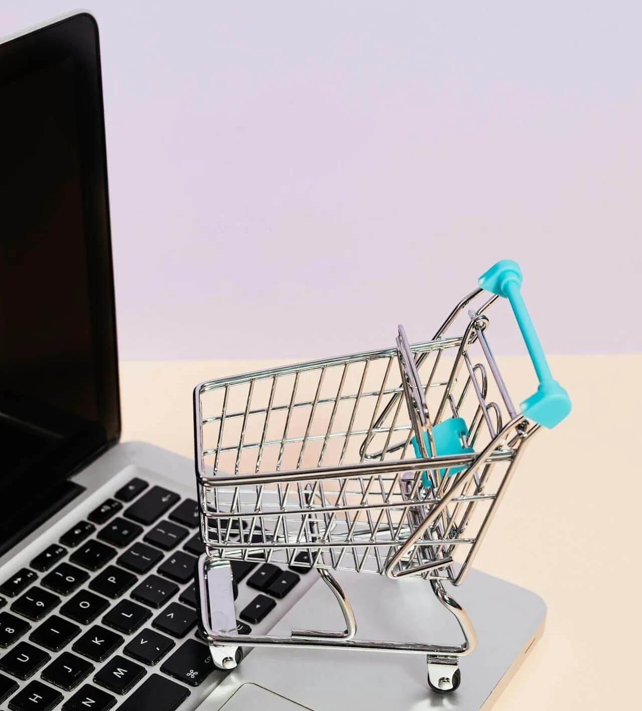 Webshop laten maken Den Haag Webshop laten maken Den Haag